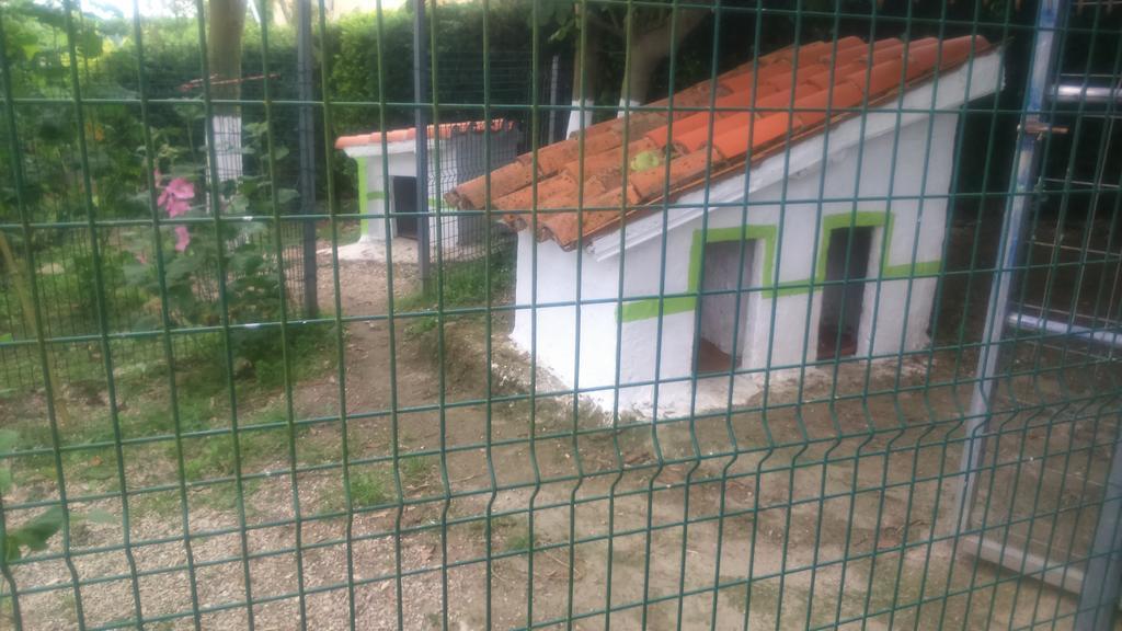 Apartamentos Labana Cudillero Bagian luar foto